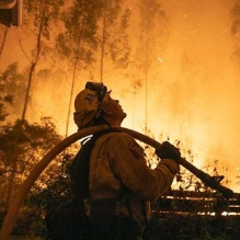disappointed_firefighter